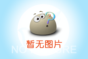 成華電動葫蘆在鋼結構安裝中的運用